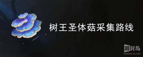 原神树王圣体菇采集路线